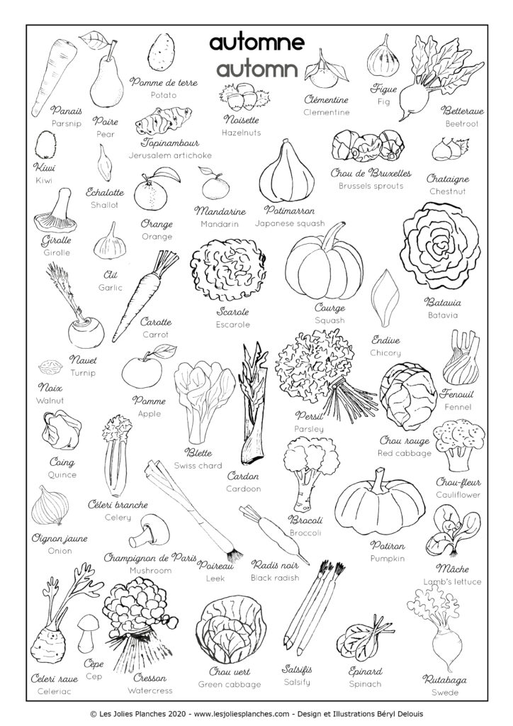 Coloriage Tous Les Légumes  Garcia Thasce